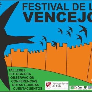 Festival de los Vencejos 2023 Ávila Turismo