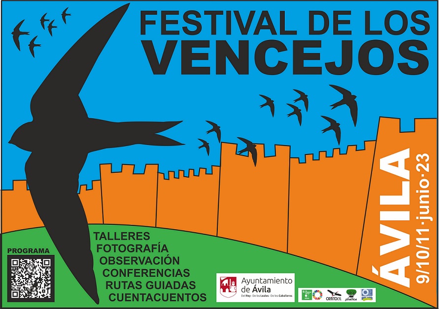 Festival de los Vencejos 2023 Ávila Turismo