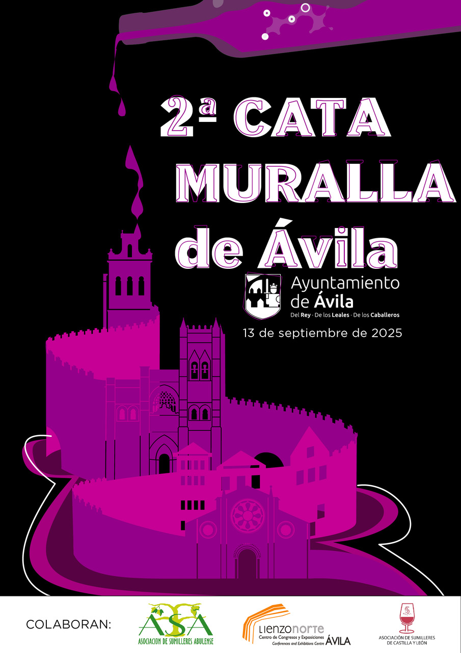 II Cata Muralla de Ávila Ávila Turismo