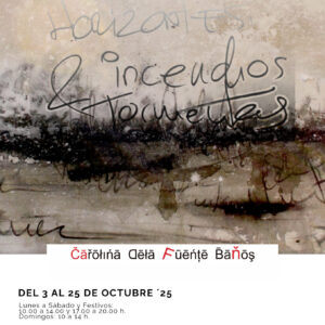 Exposición Carolina de la Fuente Baños Ávila Turismo