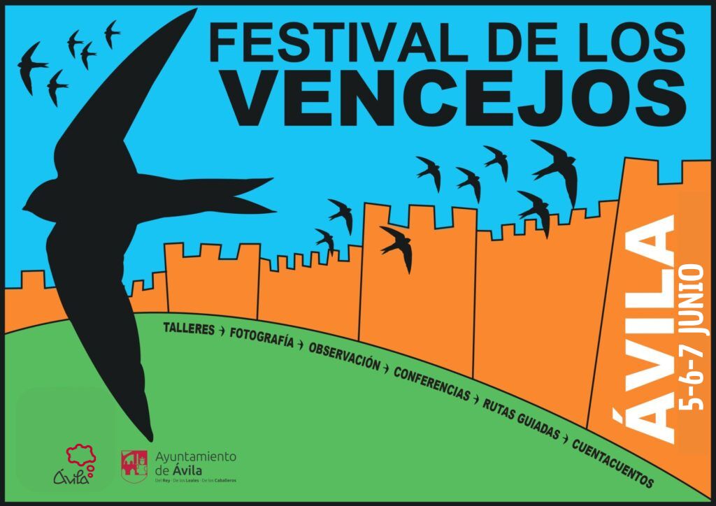 V Edición Festival de Los Vencejos Ávila Turismo V Edición Festival de Los Vencejos Ávila Turismo