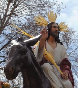 Semana Santa 2026. Procesión de las Palmas Ávila Turismo