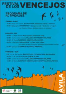 V Edición Festival de los Vencejos Ávila Turismo