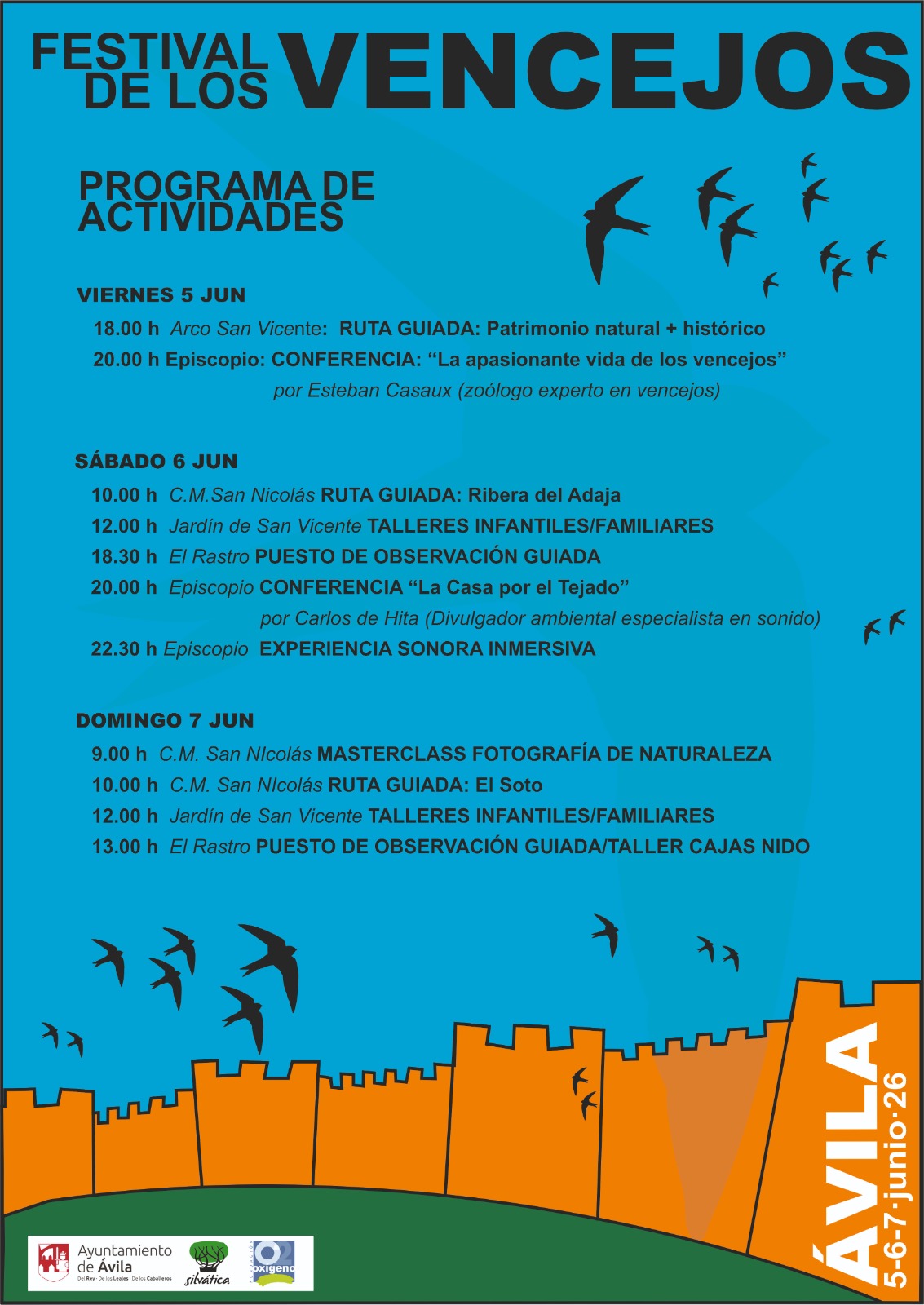V Edición Festival de los Vencejos Ávila Turismo