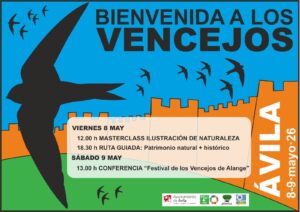 Bienvenida a los Vencejos Ávila Turismo