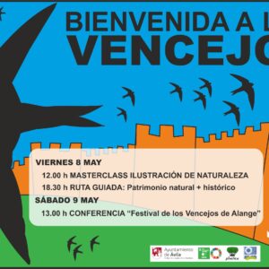 Bienvenida a los Vencejos Ávila Turismo